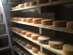 Schage du fromage